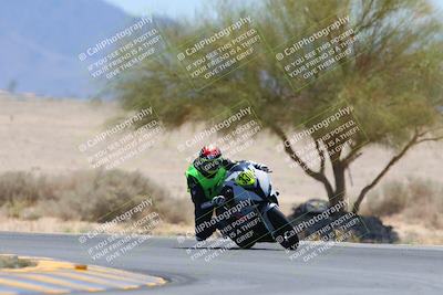 media/May-12-2024-SoCal Trackdays (Sun) [[ad755dc1f9]]/10-Turn 4 Tree of Life (1120am)/